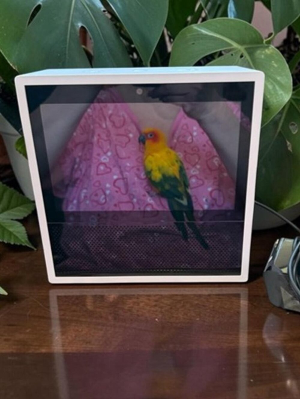 Amazon Alexa Echo Show (1st Gen) MODEL: MW46WB